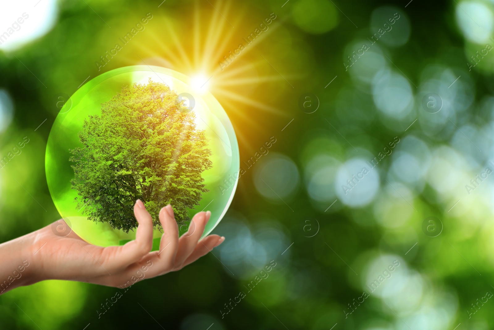 Image of Save Earth. Woman holding crystal ball with green tree inside outdoors, closeup