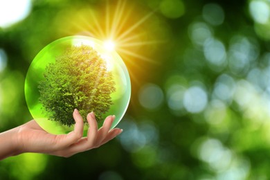 Image of Save Earth. Woman holding crystal ball with green tree inside outdoors, closeup