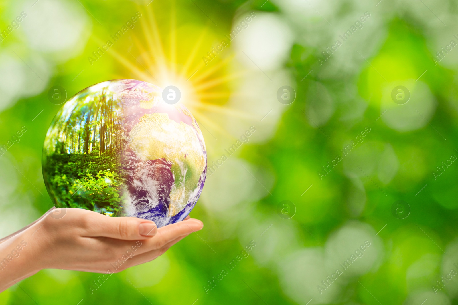 Image of Save Earth. Woman holding ball halved on planet and forest outdoors, closeup