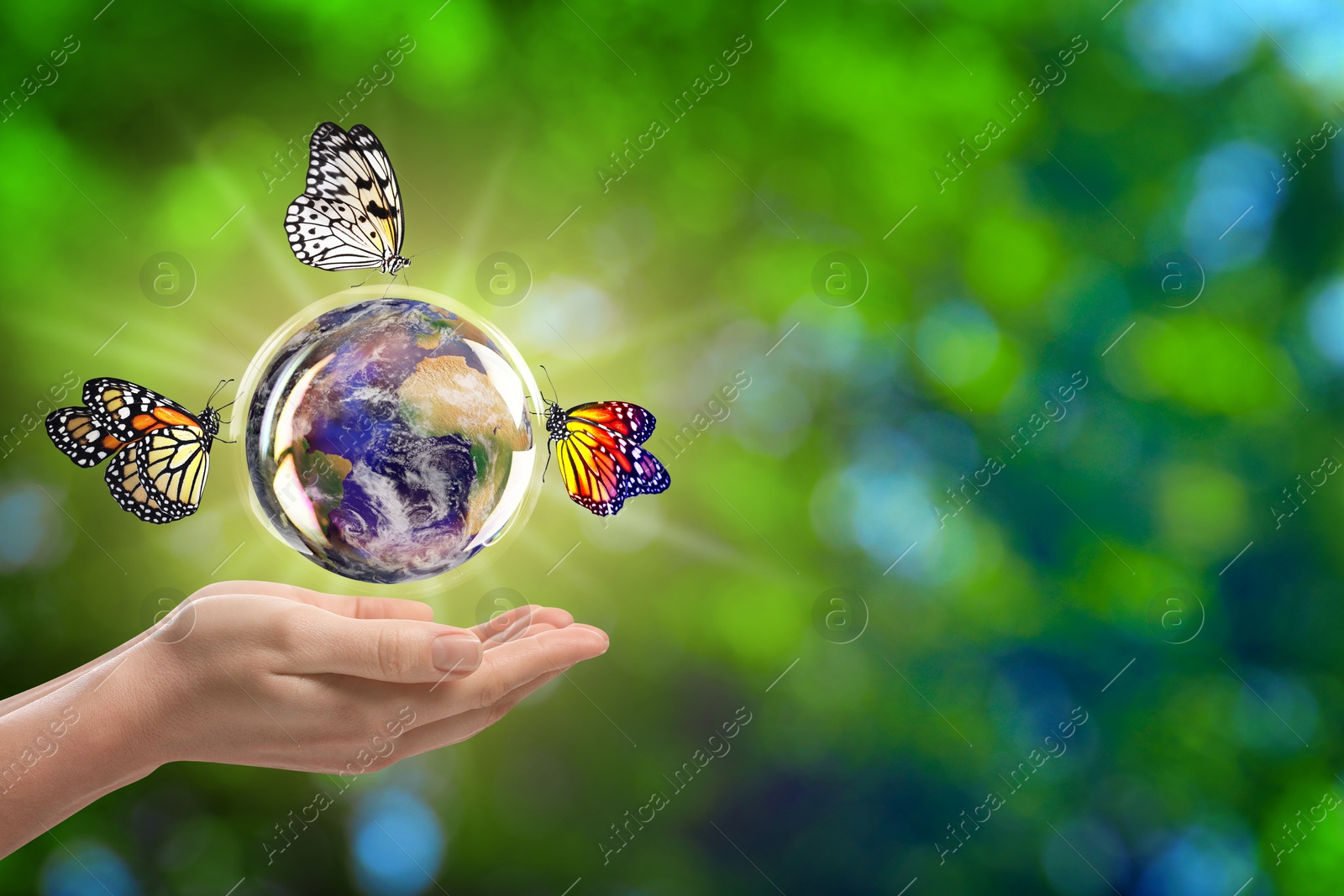 Image of Save Earth. Woman holding glowing crystal ball with planet inside outdoors, closeup. Butterflies on globe