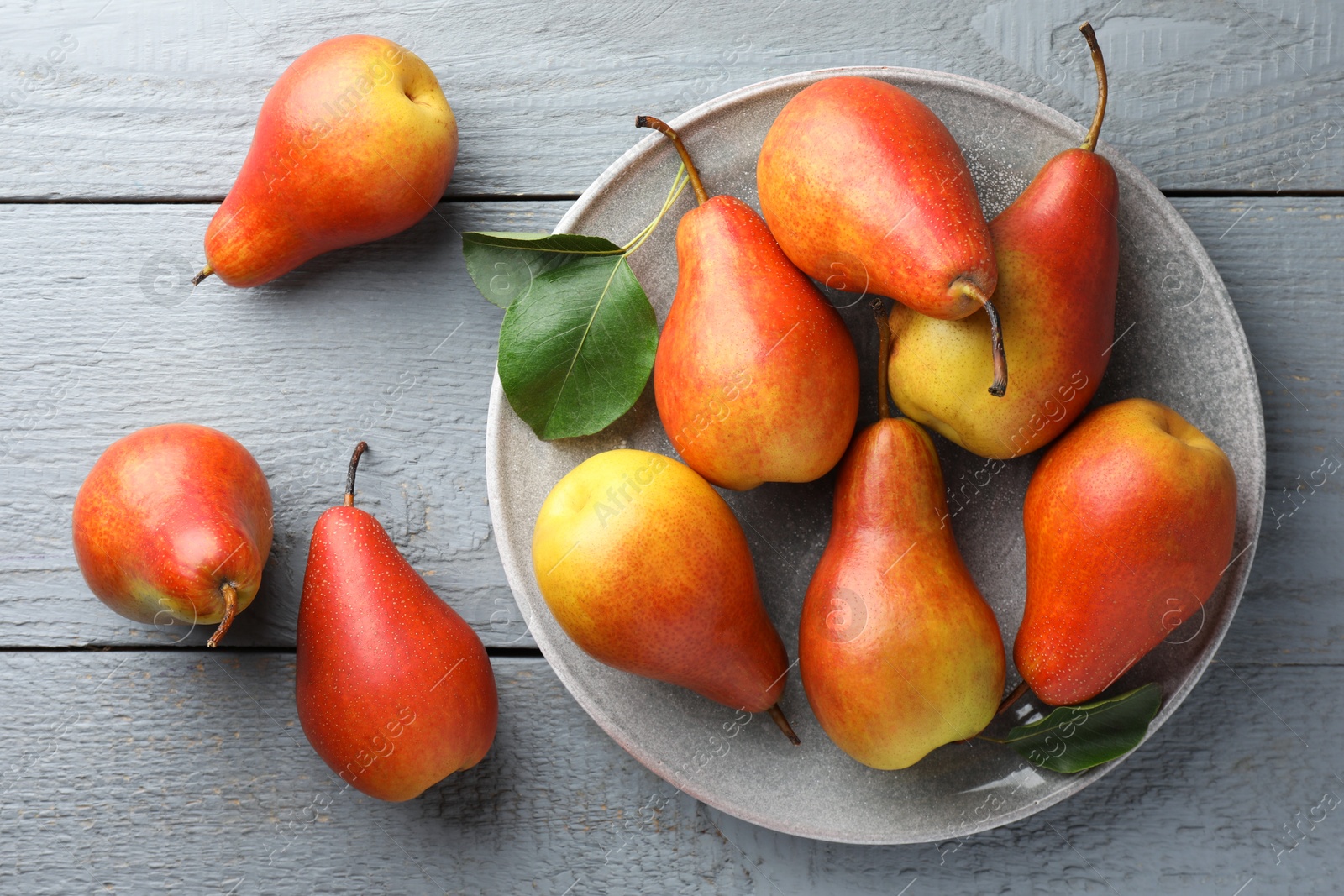 Photo of Ripe juicy pears on grey wooden table, flat lay