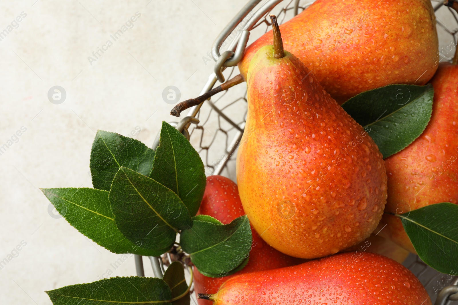 Photo of Ripe juicy pears in metal basket on grey table, top view