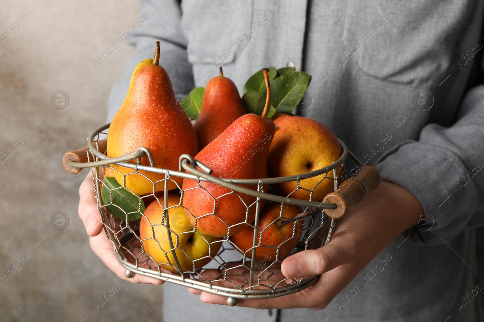 Photo of Woman holding metal basket with ripe juicy pears indoors, closeup