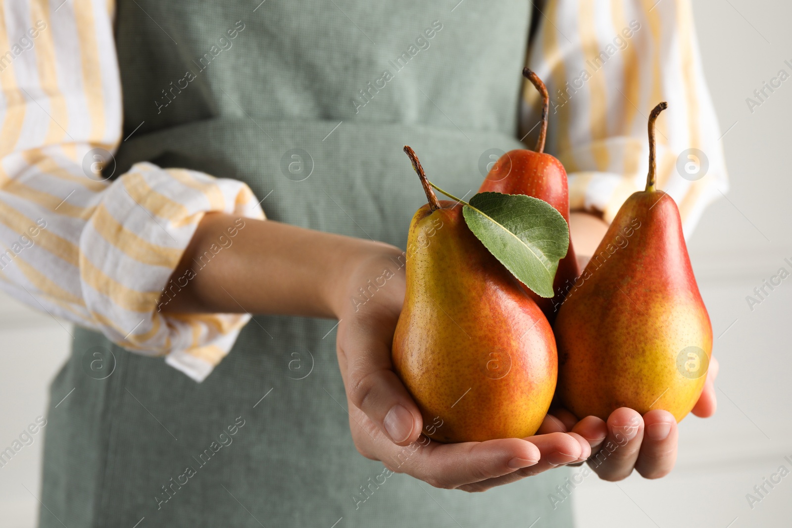 Photo of Woman holding ripe juicy pears indoors, closeup