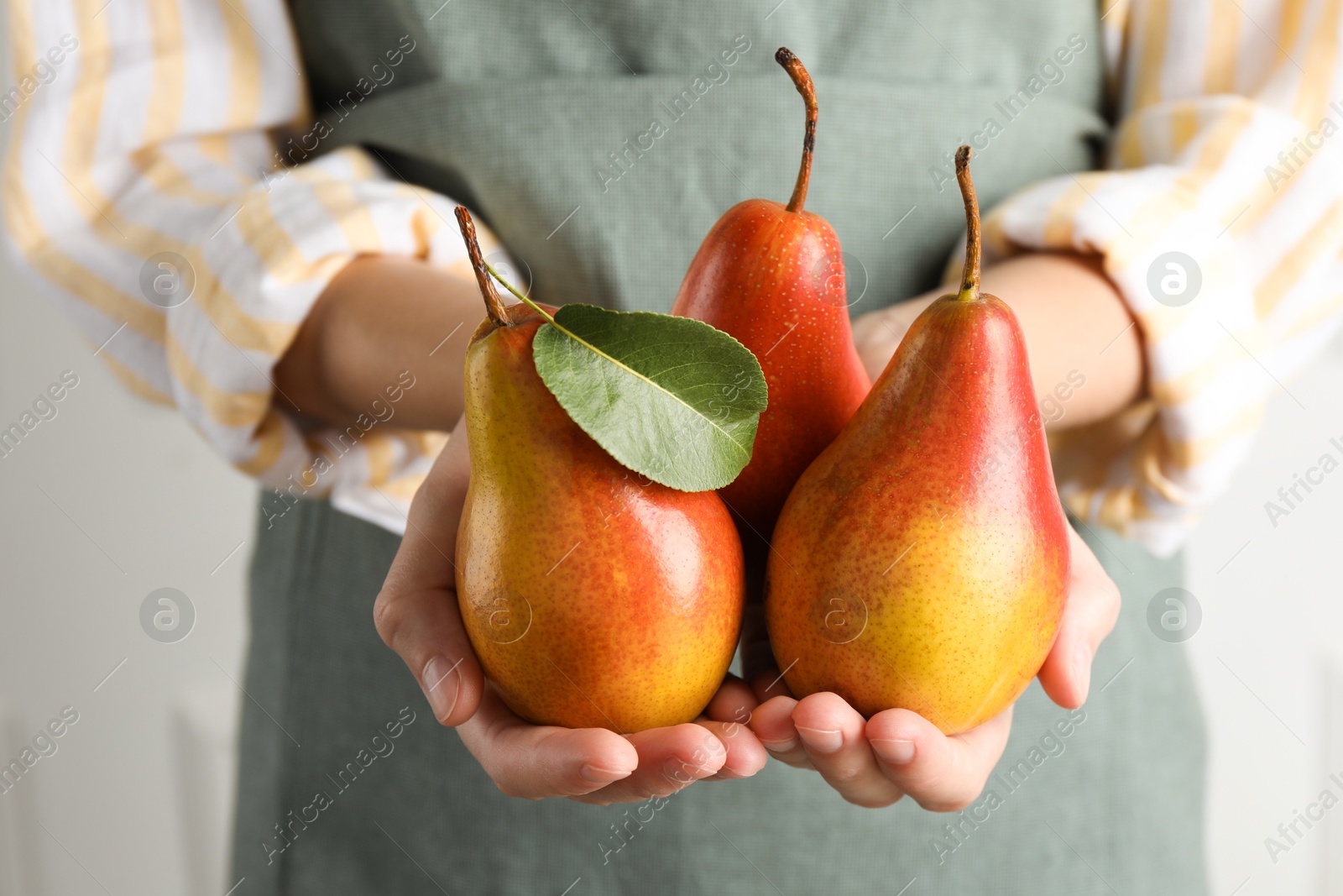 Photo of Woman holding ripe juicy pears indoors, closeup