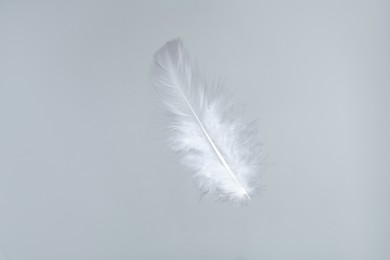 Photo of One beautiful fluffy feather isolated on white