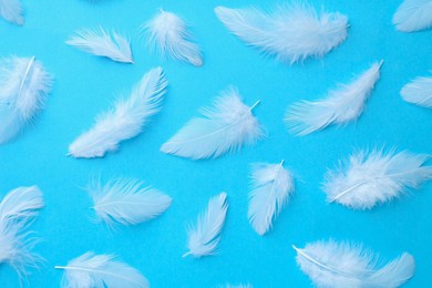 Photo of Beautiful fluffy feathers on light blue background, flat lay