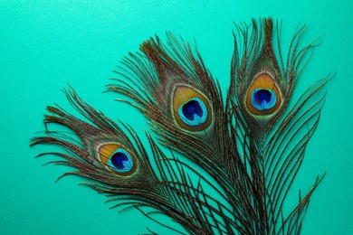 Photo of Many beautiful peacock feathers on turquoise background, top view