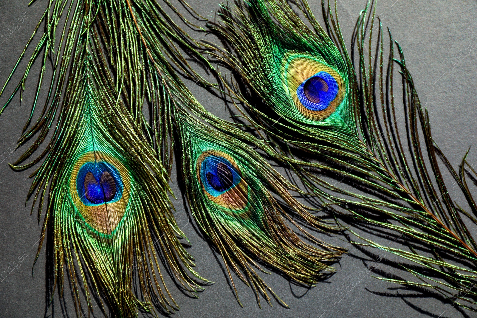 Photo of Many beautiful peacock feathers on light brown background, top view