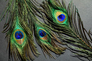 Photo of Many beautiful peacock feathers on light brown background, top view