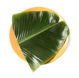 Photo of Plate with cut banana leaf isolated on white, top view. Healthy eco serving