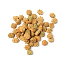 Dry pet food granules isolated on white, top view