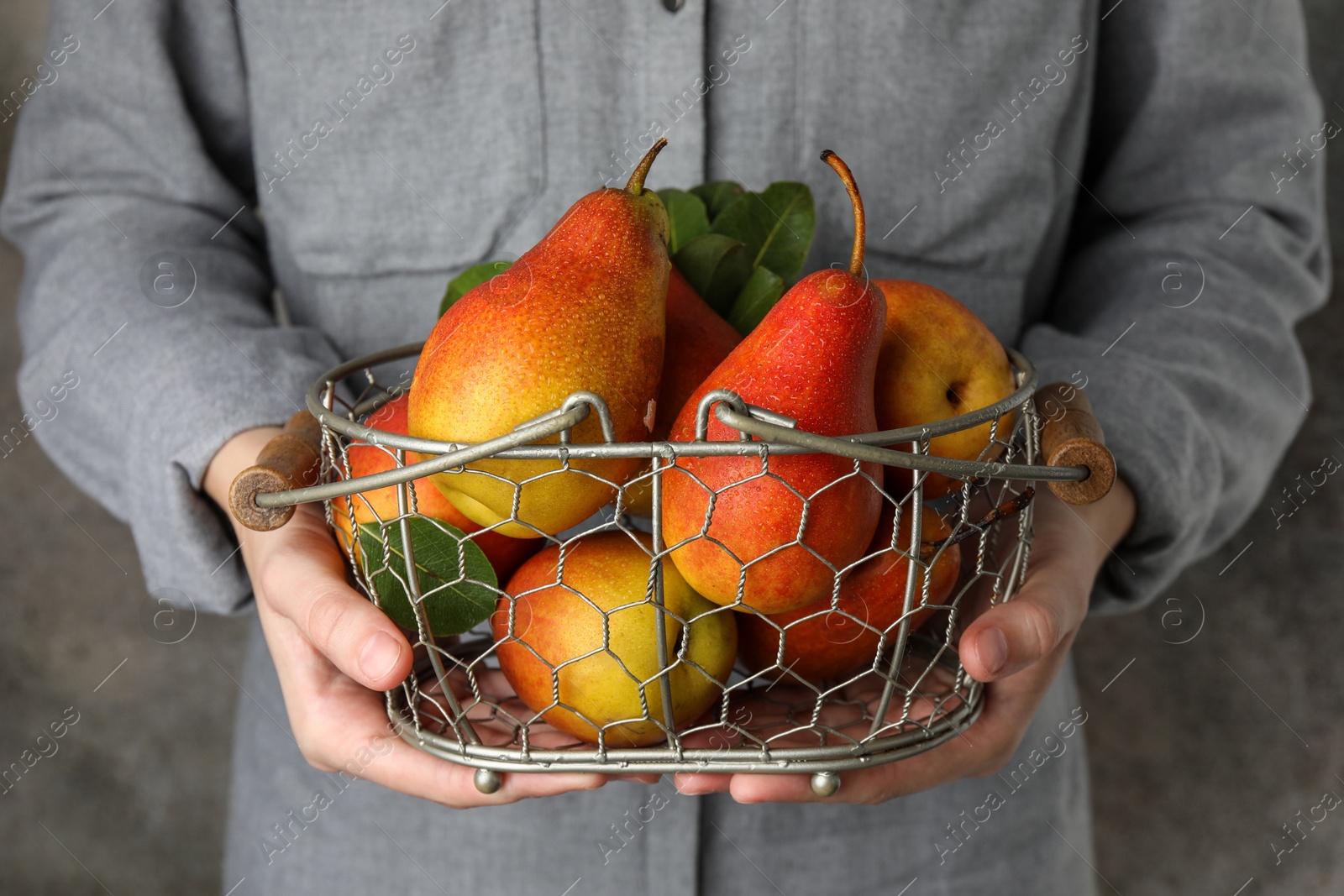 Photo of Woman holding metal basket with ripe juicy pears indoors, closeup