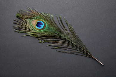 Photo of One beautiful peacock feather on dark grey background, top view