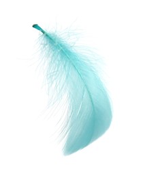 Photo of Fluffy light turquoise feather isolated on white