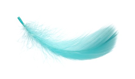 Photo of Fluffy light turquoise feather isolated on white