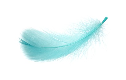 Fluffy light turquoise feather isolated on white