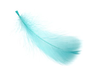 Photo of Fluffy light turquoise feather isolated on white