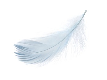 Photo of One fluffy light feather isolated on white