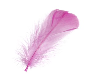 Photo of One fluffy pink feather isolated on white