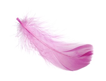 Photo of One fluffy pink feather isolated on white