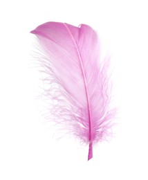 Photo of One fluffy pink feather isolated on white