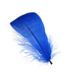 Photo of One fluffy blue feather isolated on white