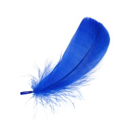 Photo of One fluffy blue feather isolated on white