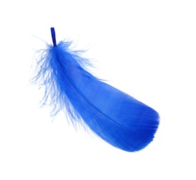 Photo of One fluffy blue feather isolated on white