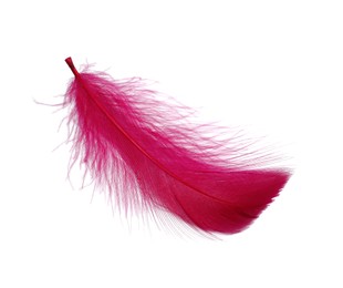 Photo of One fluffy pink feather isolated on white