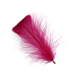 Photo of One fluffy pink feather isolated on white