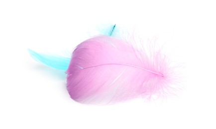 Two fluffy light feathers isolated on white