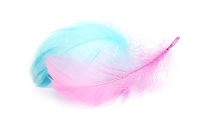 Photo of Two fluffy light feathers isolated on white