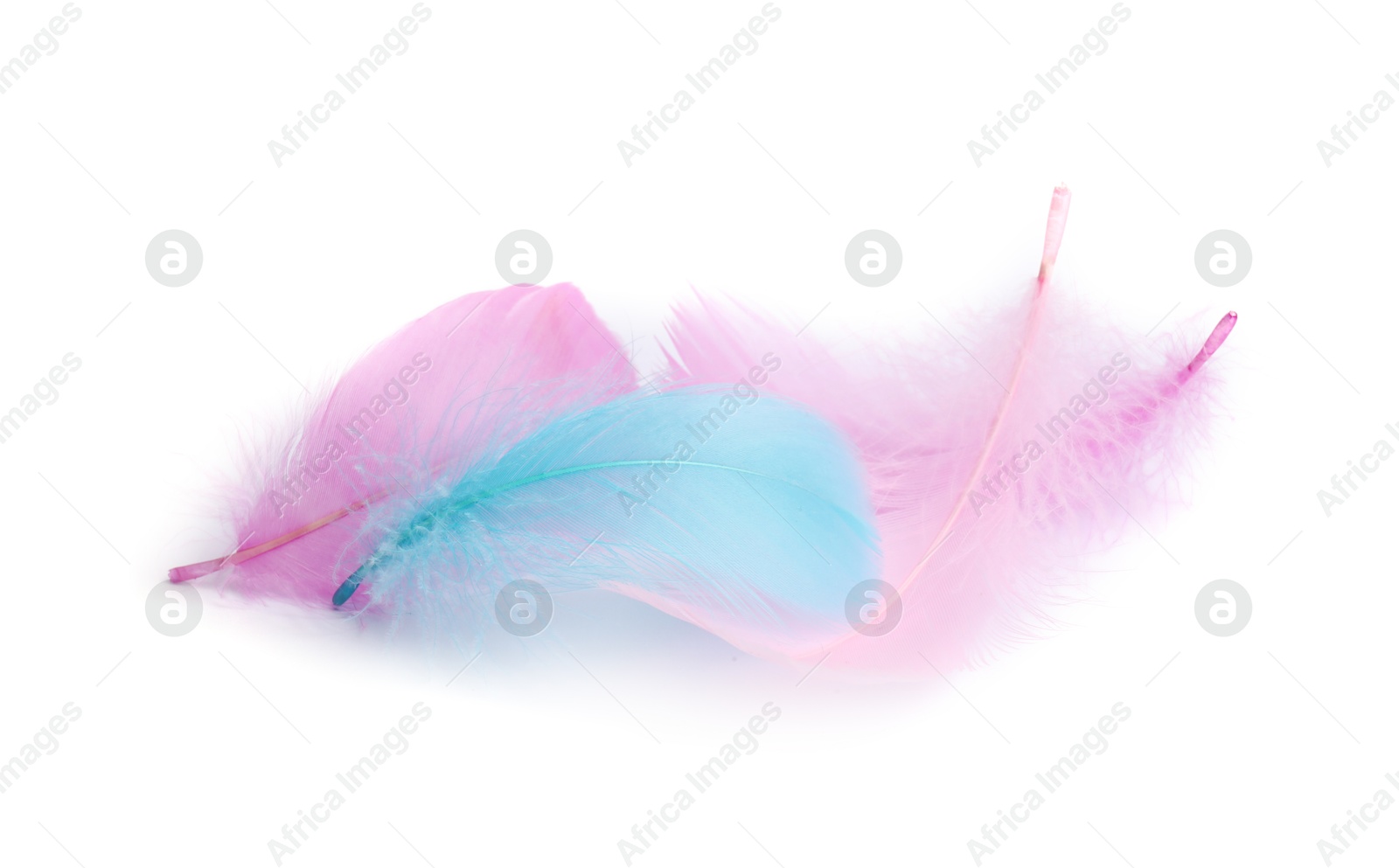 Photo of Pile of fluffy light feathers isolated on white