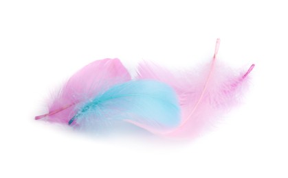 Photo of Pile of fluffy light feathers isolated on white