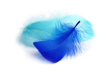 Photo of Two fluffy light feathers isolated on white