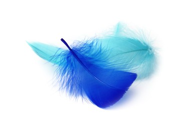 Photo of Two fluffy light feathers isolated on white