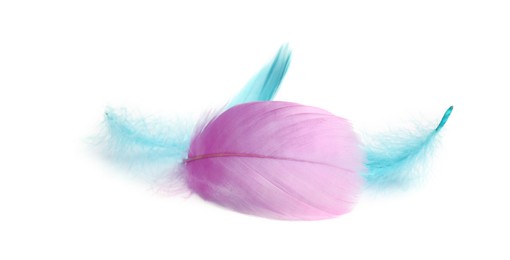 Photo of Three fluffy light feathers isolated on white