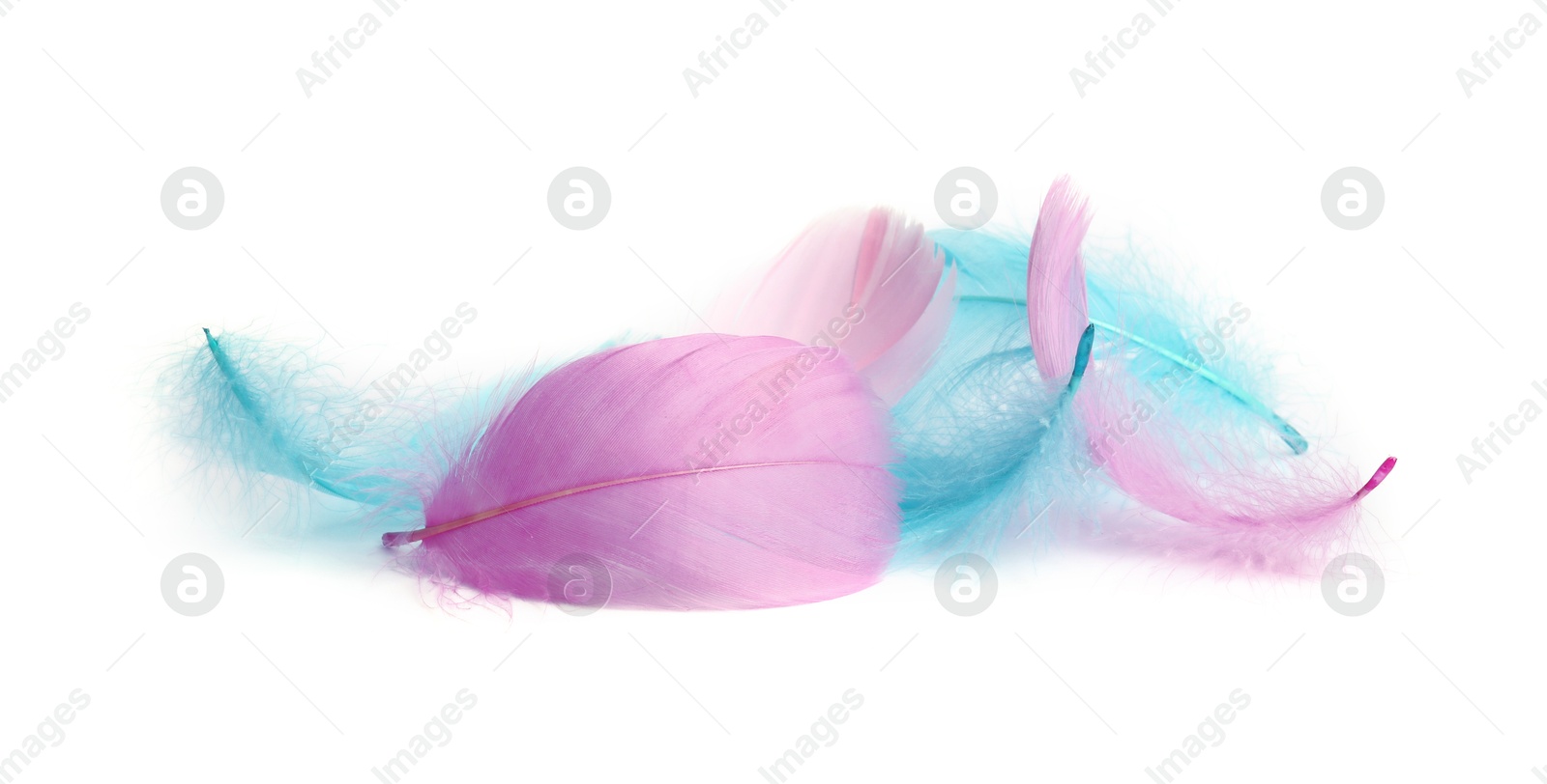 Photo of Pile of fluffy light feathers isolated on white