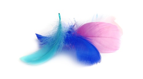 Photo of Pile of fluffy light feathers isolated on white