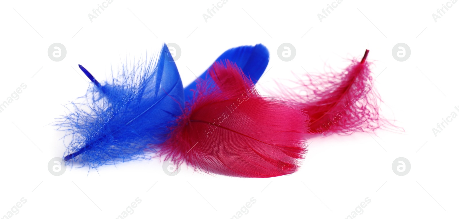 Photo of Pile of fluffy light feathers isolated on white