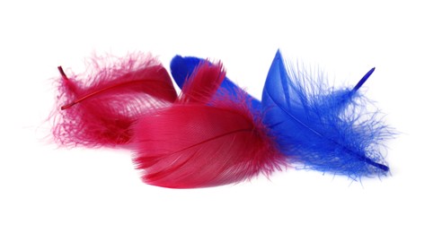 Photo of Pile of fluffy light feathers isolated on white