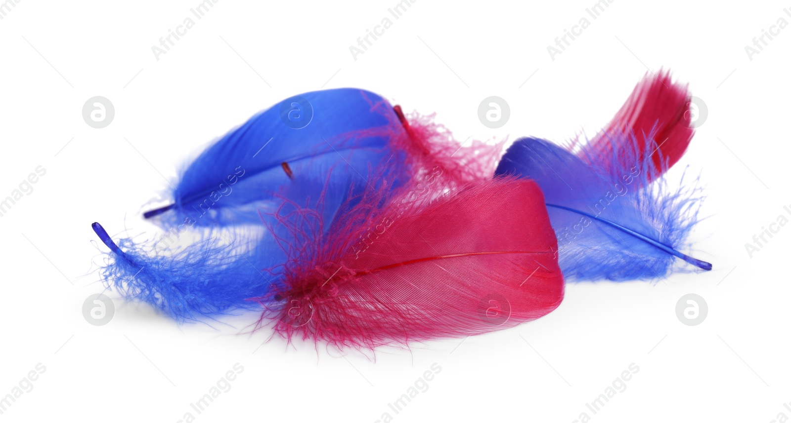 Photo of Pile of fluffy light feathers isolated on white