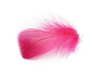 Photo of One fluffy light feather isolated on white