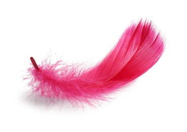 Photo of One fluffy light feather isolated on white