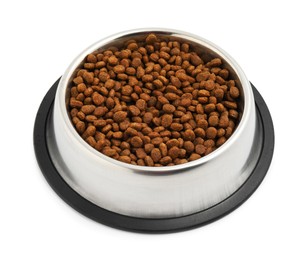 Dry pet food granules in feeding bowl isolated on white