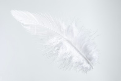 Photo of One beautiful fluffy feather isolated on white