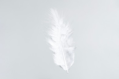 Photo of One beautiful fluffy feather isolated on white