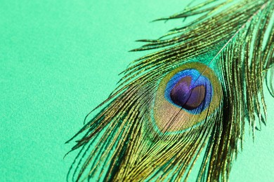 Photo of One beautiful peacock feather on turquoise background, closeup. Space for text