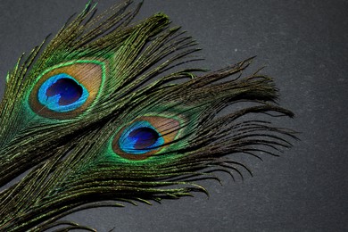 Photo of Two beautiful peacock feathers on black background, closeup